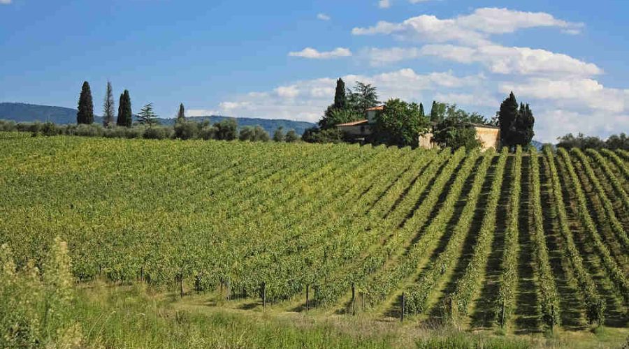 Colline Toscane e le migliori mete