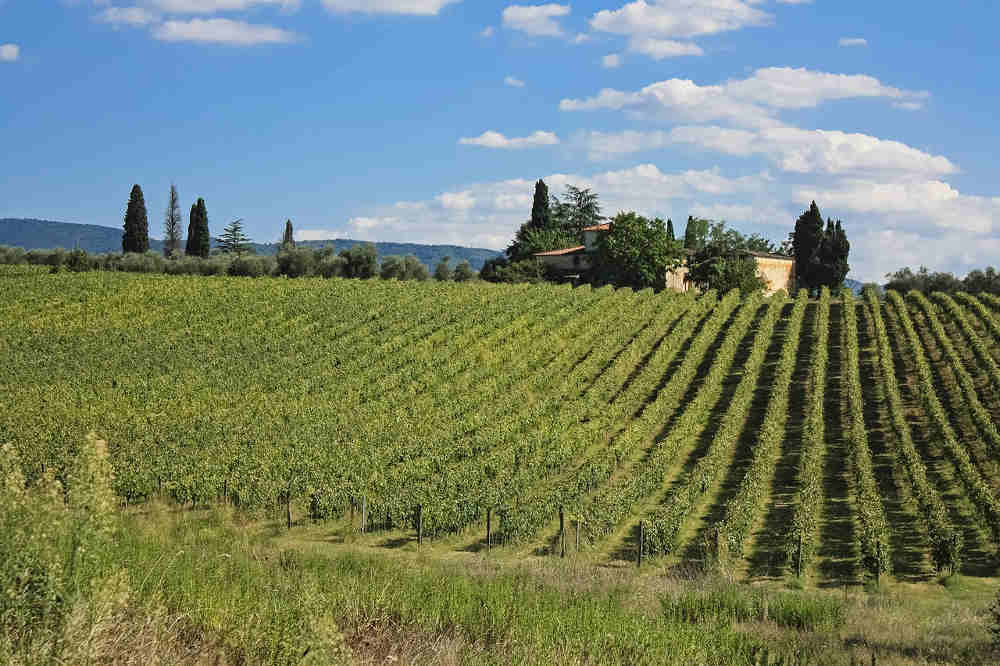 colline toscane