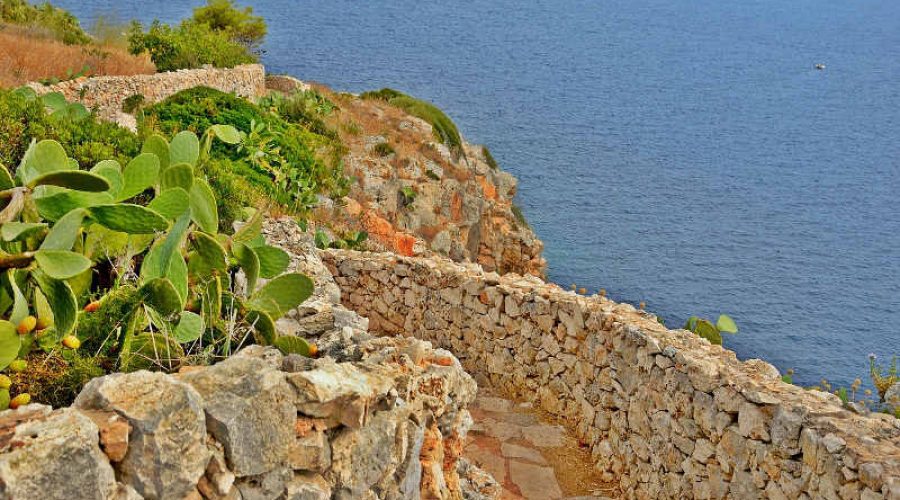 Mete Salento
